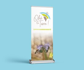 Roll-up