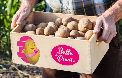 Belle de Vendée, pommes de terre vendéennes