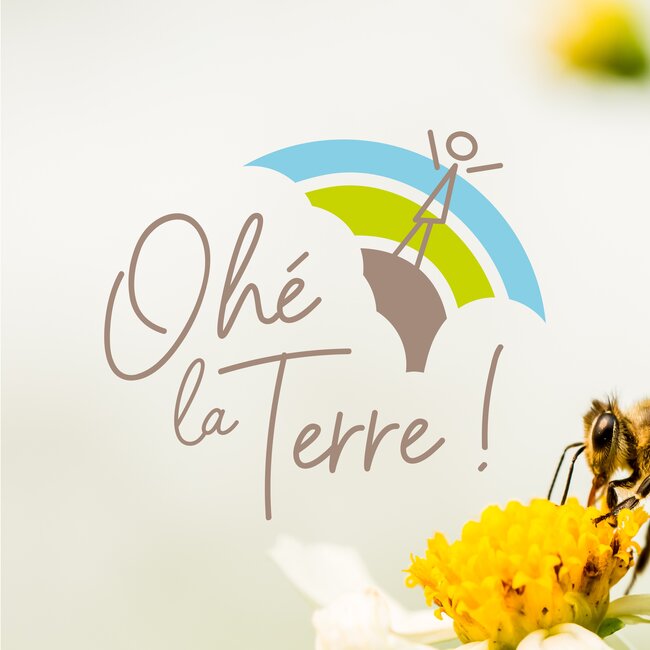 Création du logo