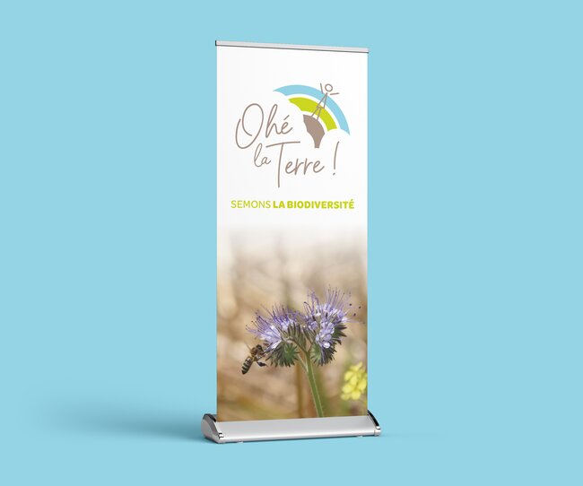 Roll-up