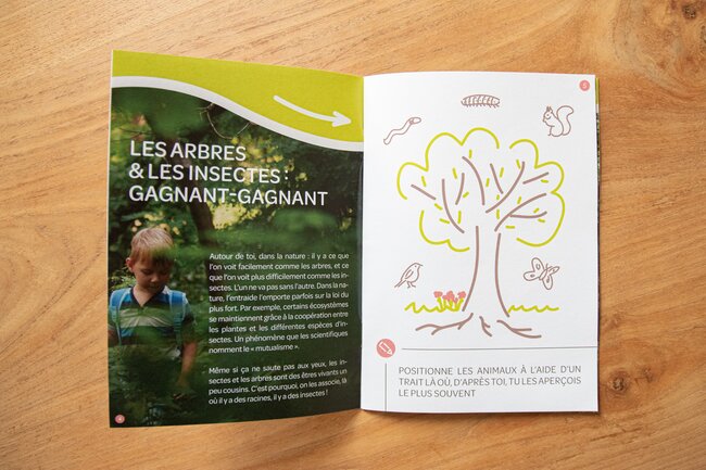 Cahier d'observations et d'activités